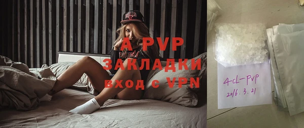 винт Верея