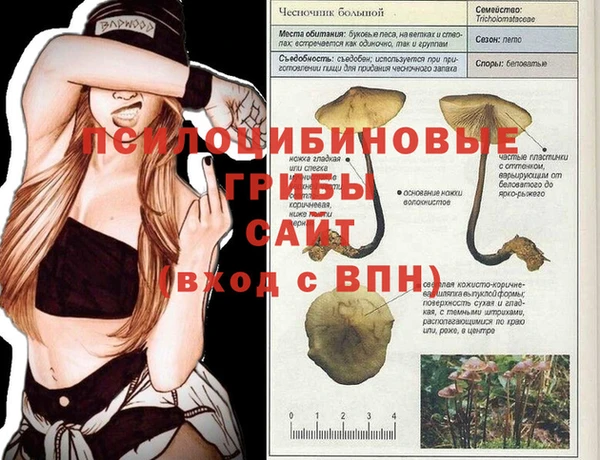 гидропоника Верхний Тагил