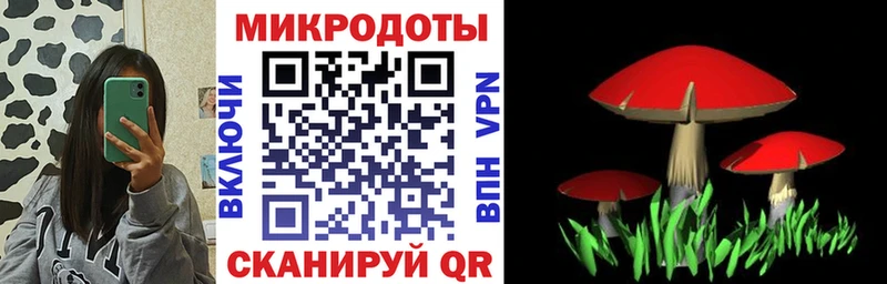 Купить  Мичуринск  Псилоцибиновые грибы Magic Shrooms 