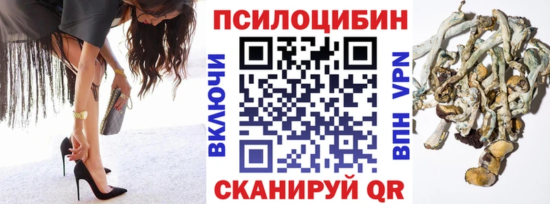 Псилоцибиновые грибы GOLDEN TEACHER Мичуринск